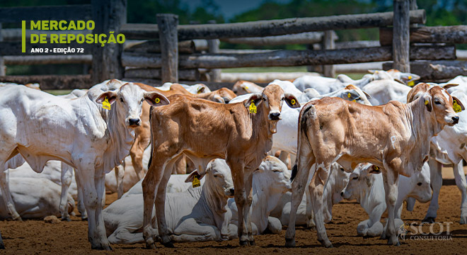 Foto: Bela Magrela