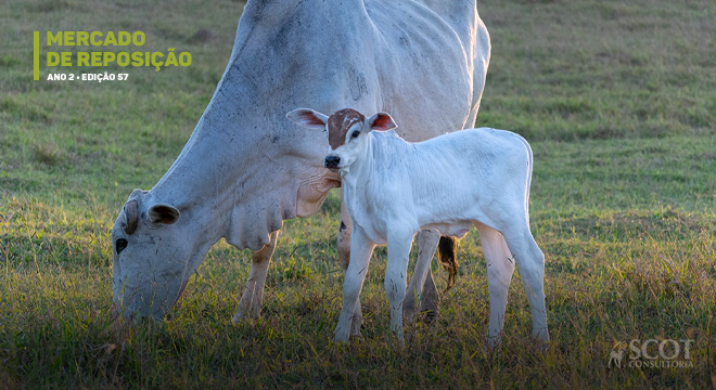 Foto: Bela Magrela