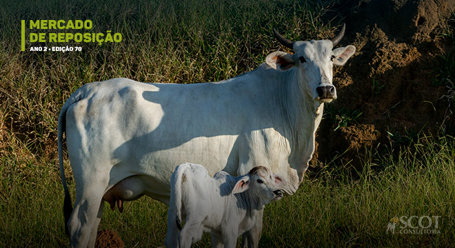 Foto por: Bela Magrela