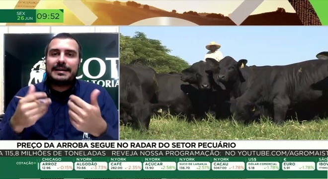 boi-gordo-perde-forca-em-junho-pressionado-por-demanda-fraca-e-risco-nas-exportacoes