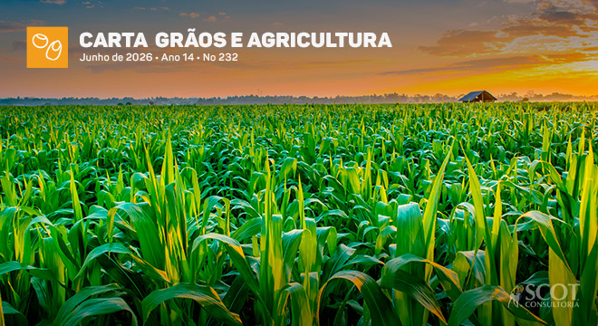 carta-graos-e-agricultura-a-safrinha-e-a-perna-mais-arriscada-do-ciclo-soja-milho