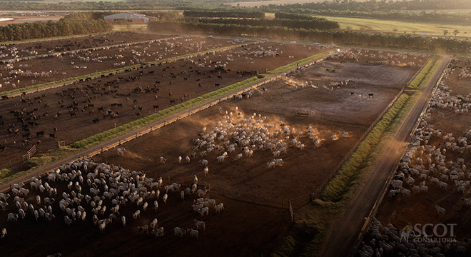 Foto: Bela Magrela